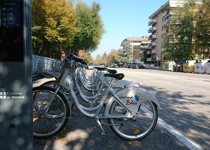 Lamoka Verona