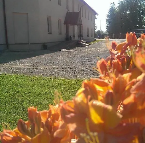 Klintis