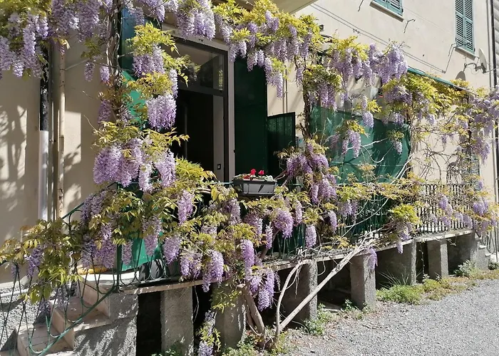 Il Giardino Di Elettra - Freeparking