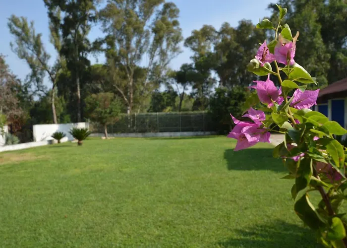 Casa Blanca B&B