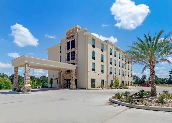 Comfort Suites West Monroe Near Ike Hamilton Expo Center