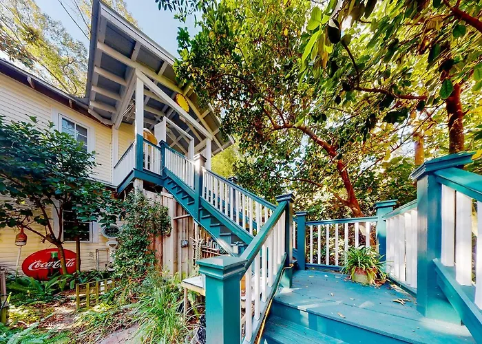Baby Breezy Tree House