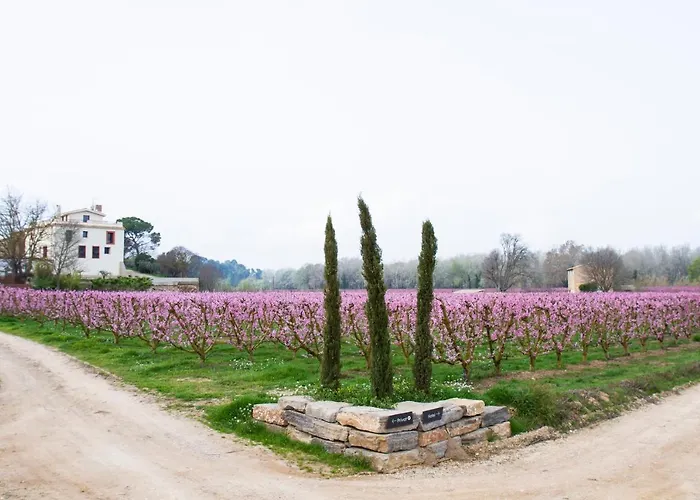 Hotel Rural Mas De L'Illa