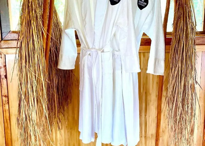 Nuscaa Boutique Tree House & Spa
