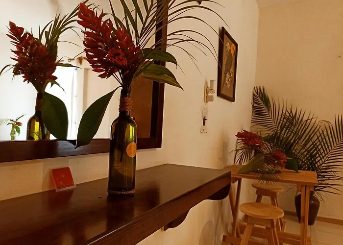 Casa De Los Pájaros - B&B
