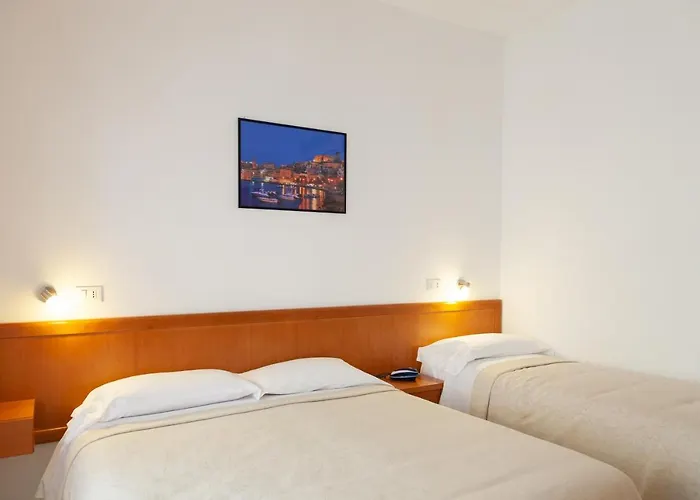Hotel Viola