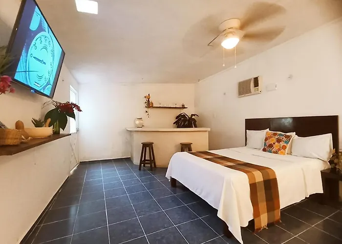 Casa De Los Pájaros - B&B