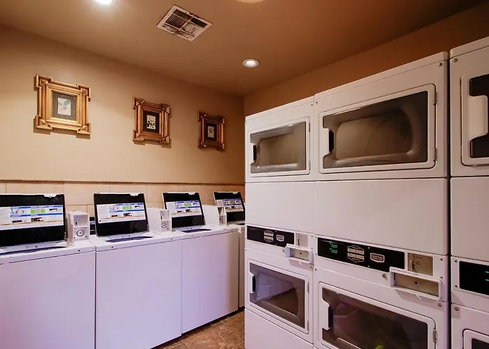 Oyo Pinewood Inn & Suites Silsbee