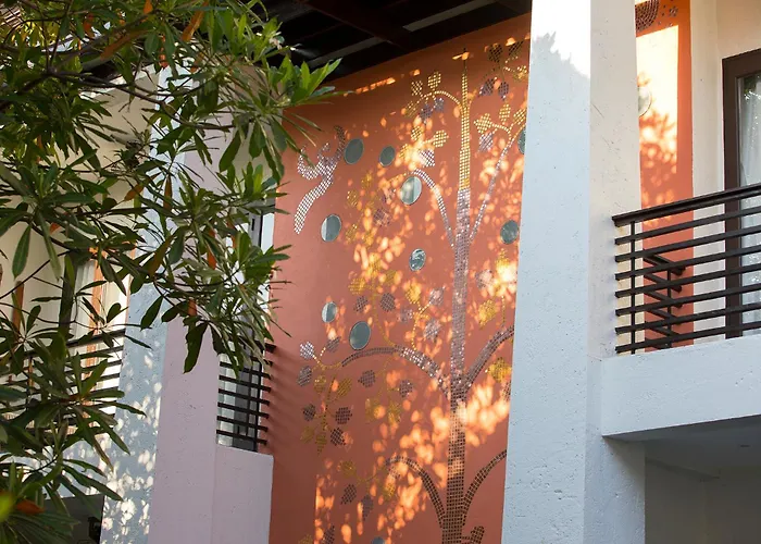 U Chiang Mai