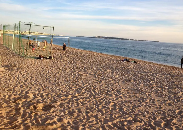 Résidence La Palme d'Azur Cannes Verrerie