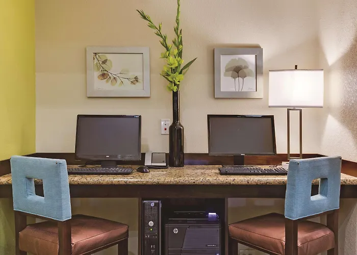 Comfort Inn & Suites Tampa North I-75