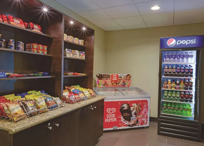 Comfort Inn & Suites Tampa North I-75