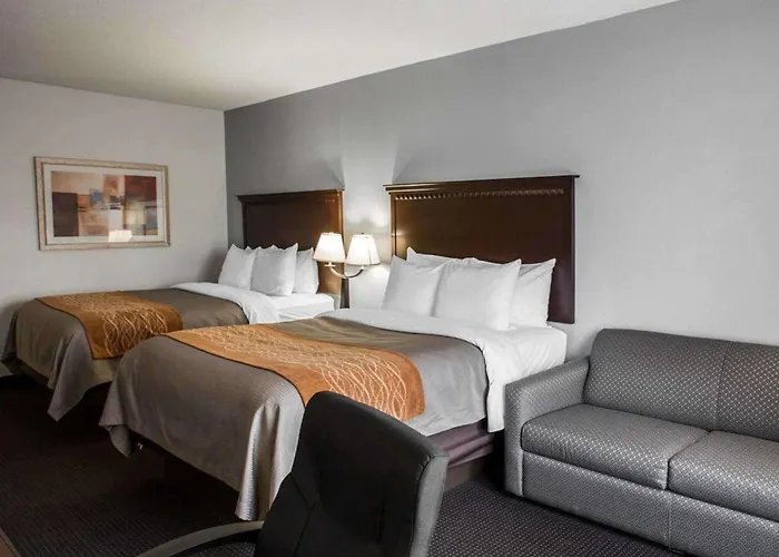 Comfort Inn & Suites Lumberton Central I-95
