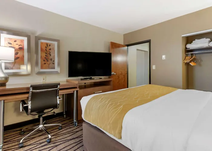 Comfort Inn & Suites Market - Airport