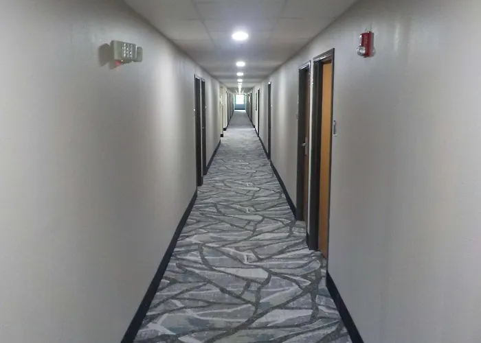 Mj Inn And Suites