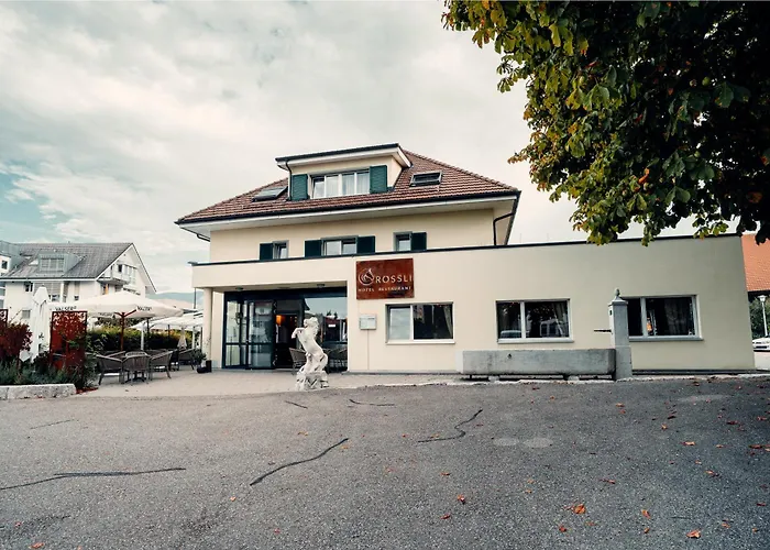Hotel Roessli Luterbach