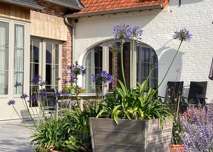 B&B Waterput 1