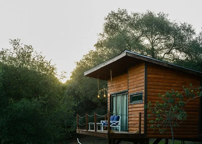 Boskenvid Hotel - Romantic Treehouses & Skypool