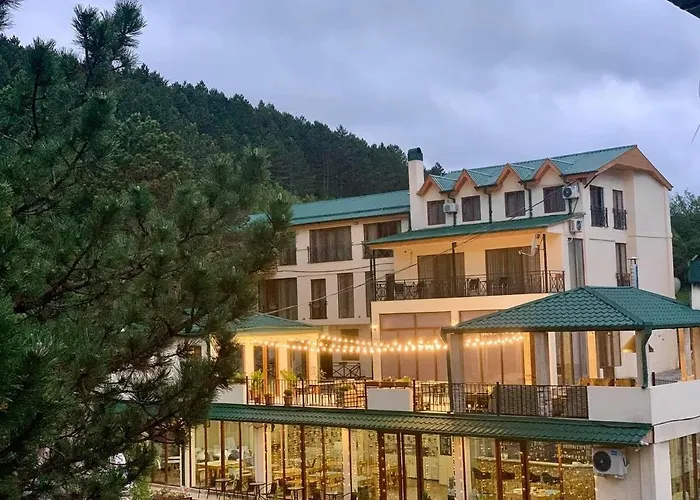 Hotel Surami