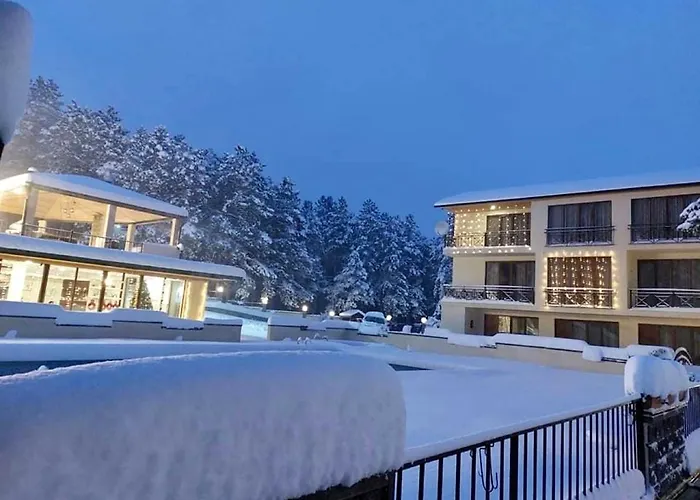 Hotel Surami