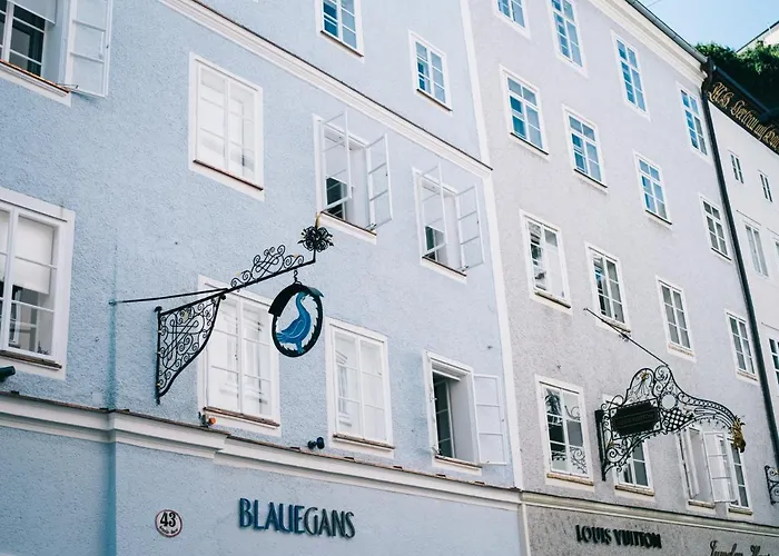 Arthotel Blaue Gans