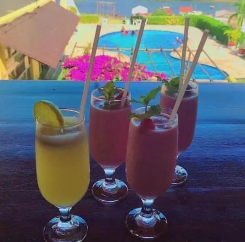 Hotel Rio Acaraí