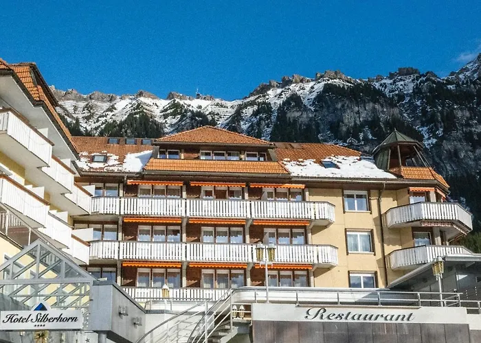 Hotel Silberhorn - Residences & Spa Wengen