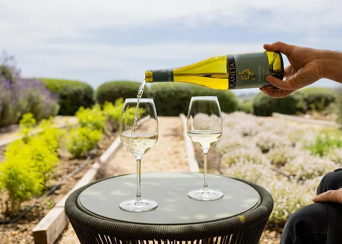 La Foresteria Planeta Wine Resort & Beach Club
