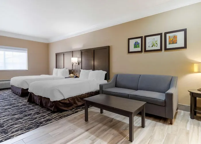 Comfort Suites Kingwood, Humble, New Caney, Houston Iah Airport