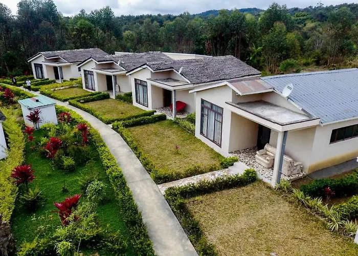 Oka Forest Lodge