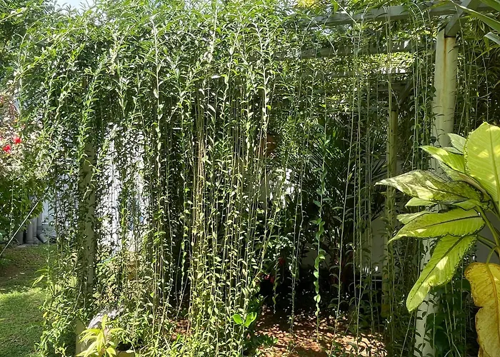 Plantation House