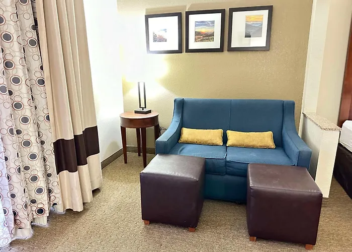 Vista Suites Near Island And Leconte Convention Center