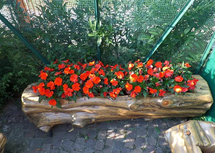 B&B Partenza Funivia