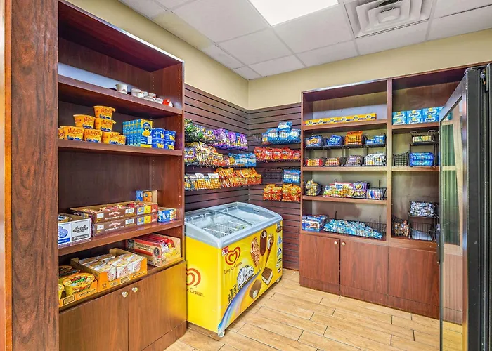 Quality Inn & Suites Tampa Near Fairgrounds And Casino