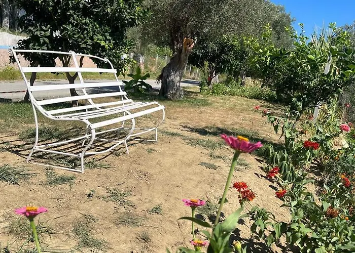 Qerana'S Rooms: Corner Of Nature