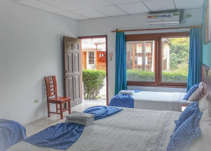 Hotel La Gran Tortuga - ᯤ Starlink