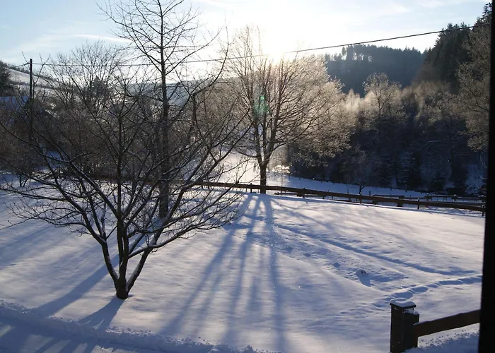 Pension&Ferienhaus Latröpchen
