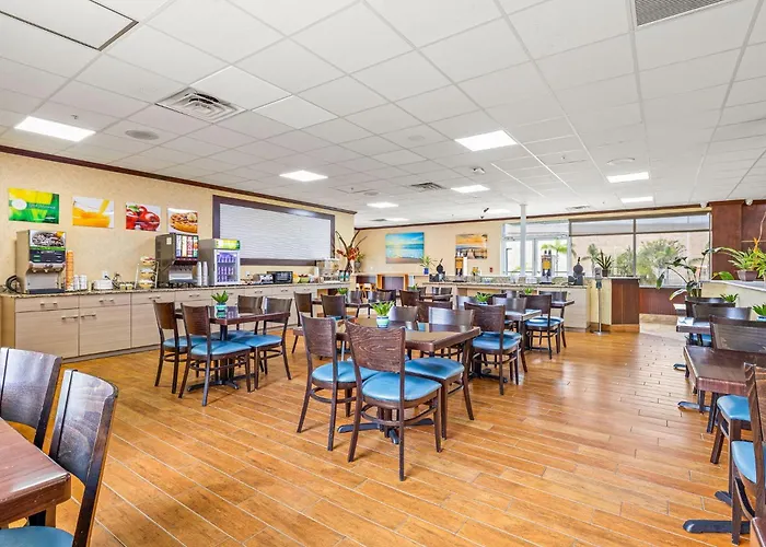 Quality Inn & Suites Tampa Near Fairgrounds And Casino