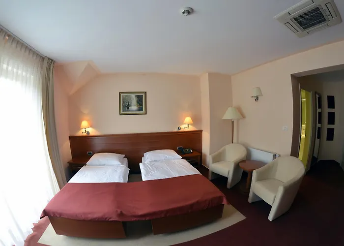 Hotel Mladimir
