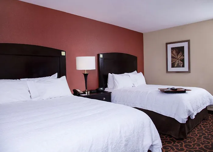 Hampton Inn & Suites Dickinson Nd