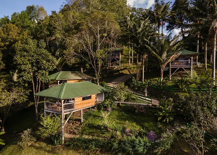 Hotel Kawa Mountain Retreat