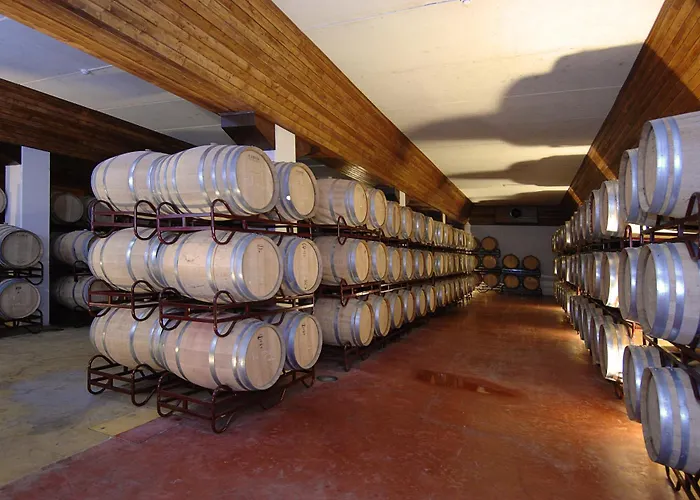 Vila Gale Alentejo Vineyard - Clube De Campo