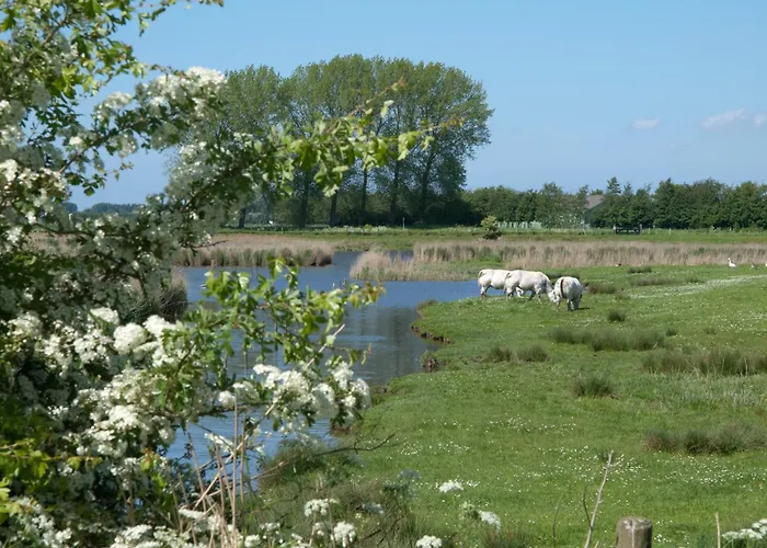 De Eenhoorn