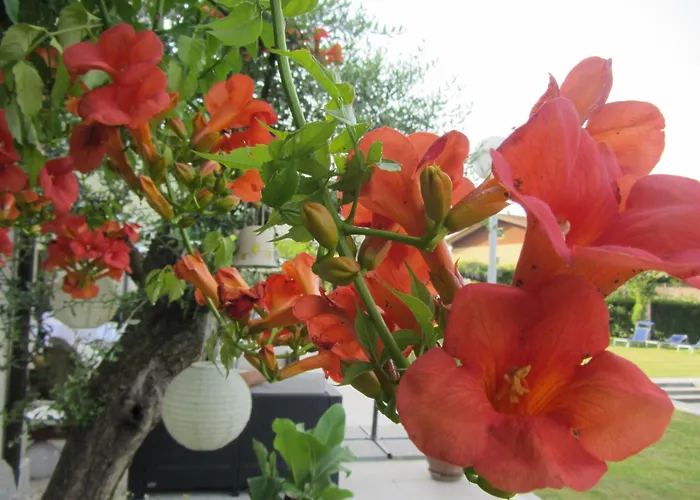 Hotel Villaguarda Landscape Experience