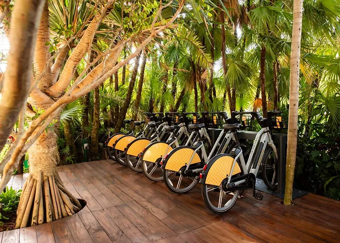 The Standard Spa, Miami Beach (Adults Only)