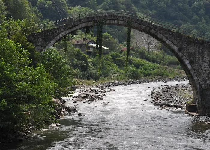 Ayder Hasimoglu Hotel