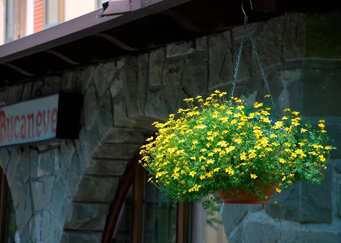 Albergo Bucaneve