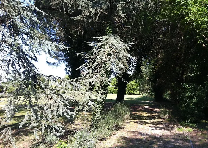 Villa Carrer