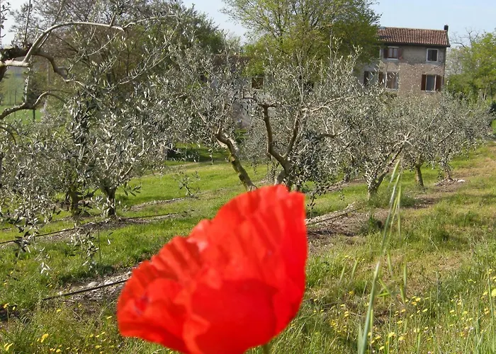 I Vigneti Bed & Breakfast