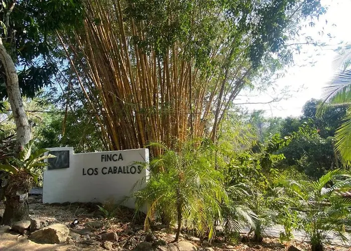 Finca Los Caballos Montezuma